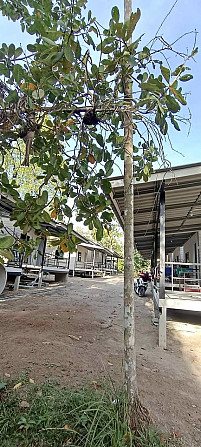 1 Bedroom Bungalow for Rent Phangan - photo 1