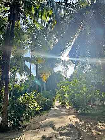 1 Bedroom Bungalow for Rent in Koh Phangan Phangan