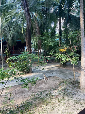 1 Bedroom Bungalow for Rent in Koh Phangan Phangan - photo 11