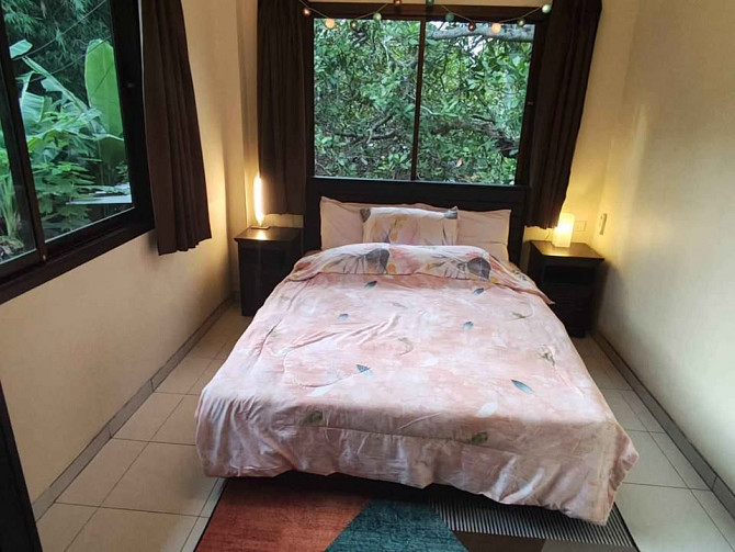 House for rent Phangan - photo 10