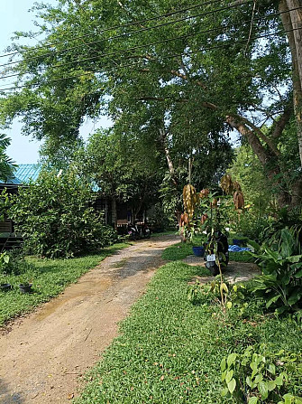 1 Bedroom House for Rent on Koh Phangan Phangan - photo 16