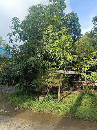 1 Bedroom House for Rent on Koh Phangan Phangan - photo 4