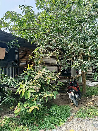 1 Bedroom House for Rent on Koh Phangan Phangan - photo 12