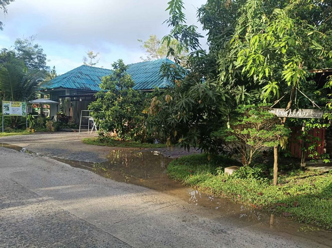 1 Bedroom House for Rent on Koh Phangan Phangan - photo 5