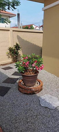 3 Bedroom Pool Villa for Rent in Pattaya Pattaya - photo 19