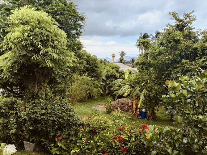 1 Bedroom House for Rent in Maenam Samui - photo 15