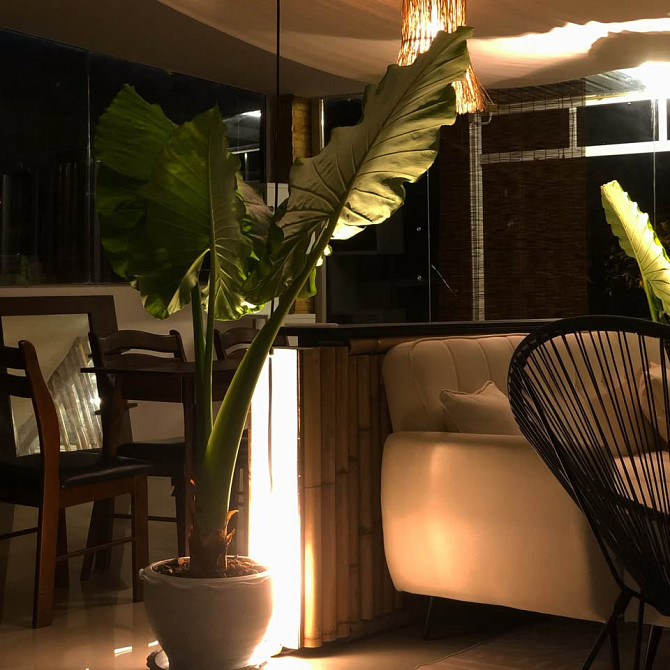 Service Apartment for Rent near Kata Beach Phuket - photo 13