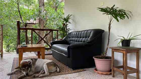 1 Bedroom Pet-Friendly Bungalow for Long Term Rent Phangan