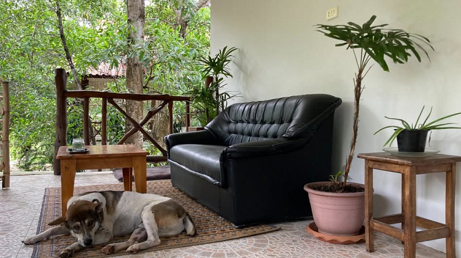 1 Bedroom Pet-Friendly Bungalow for Long Term Rent Phangan - photo 6