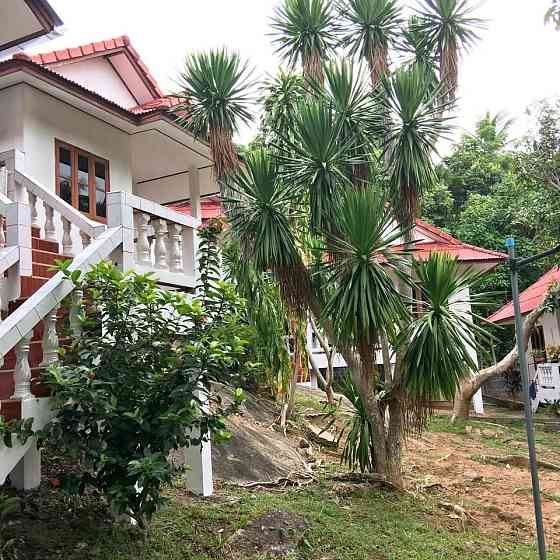 1 Bedroom Micro House for Rent in Koh Samui Samui