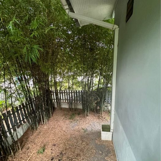 1 Bedroom House for Rent in Maduewan Phangan - photo 8
