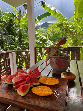 Bungalow for Rent in Srithanu - 2 Months Phangan - photo 3