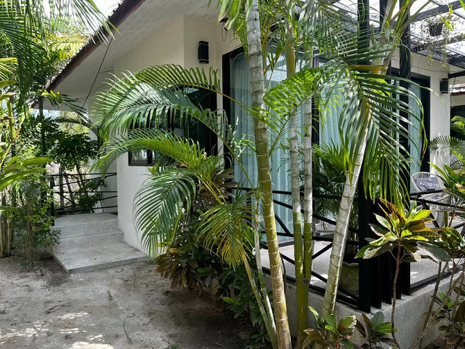 Studio House for Rent in Thong Sala Phangan - photo 8