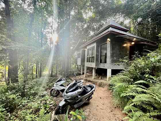 1 Bedroom House for Rent in Ban Nai Suan Phangan