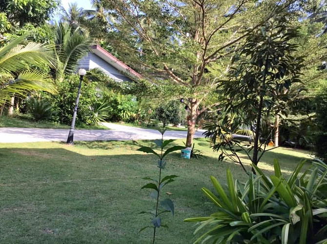 1 Bedroom Bungalow for Rent in Thong Sala Phangan - photo 1
