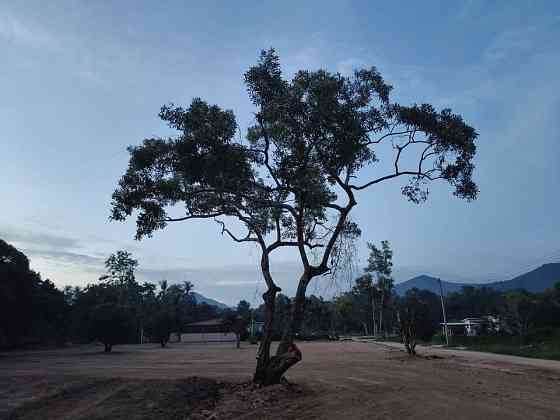 Land For Lease Phangan