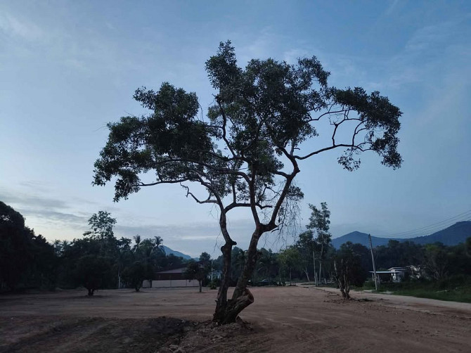 Land For Lease Phangan - photo 2