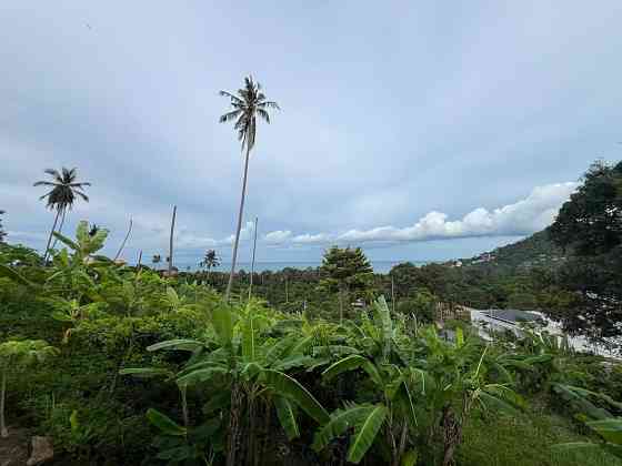 House for rent Samui
