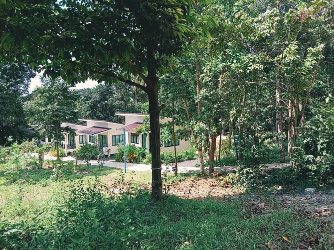 Modern House for Rent in Peaceful Area Phangan - photo 9