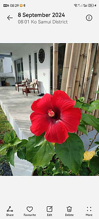 4 Bedroom Pool Villa for Rent Samui - photo 14