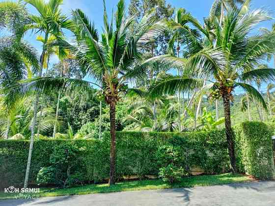 3 Bedroom Pool Villa for Rent in Namuang สมุย
