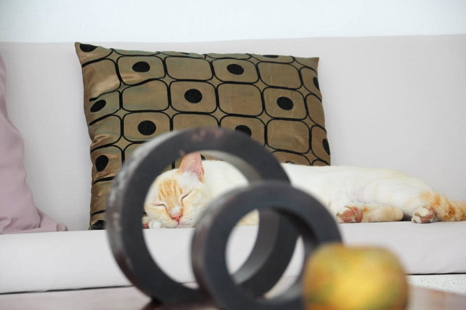 4 Bedroom Pool Villa for Long Term Rent Samui - photo 2
