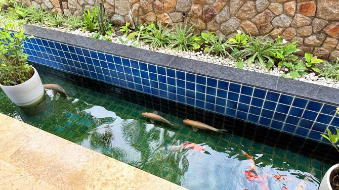 House for rent Samui - photo 10