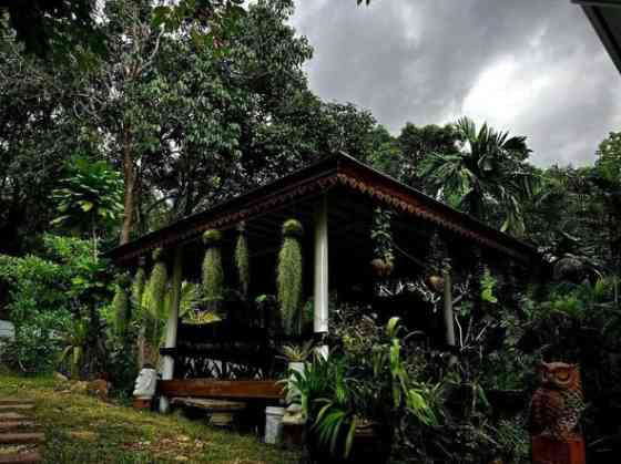 House for rent Phangan
