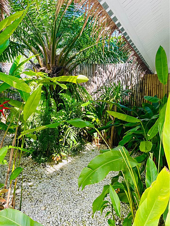 House for rent Phangan - photo 7