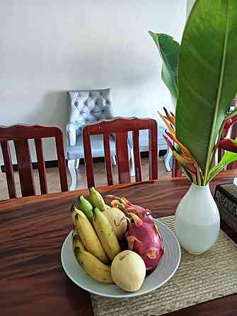 House for rent Samui