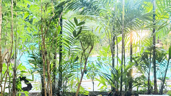 2 Bedroom Pool Villa for Rent in Bantai Samui - photo 4