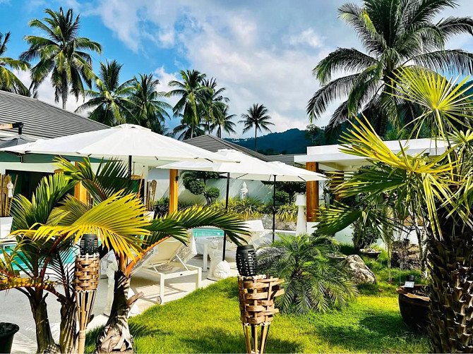 House 3 Bedroom 3 Bathrooms Samui - photo 1