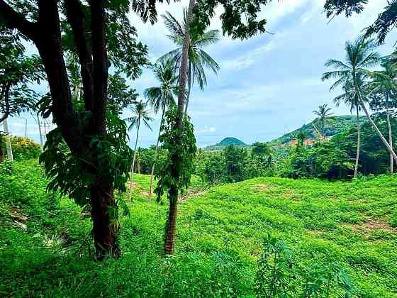 1 bedroom, 1 bathroom house Samui