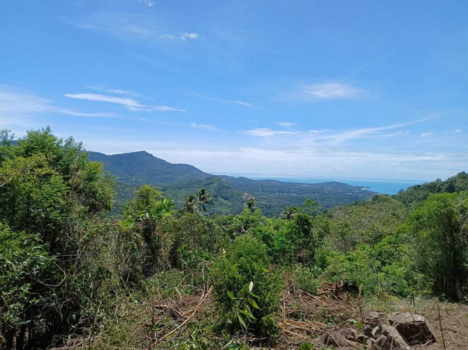 1 Bedroom 1 Bathroom - House Samui - photo 13