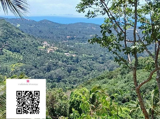 1 Bedroom 1 Bathroom - House Samui - photo 2