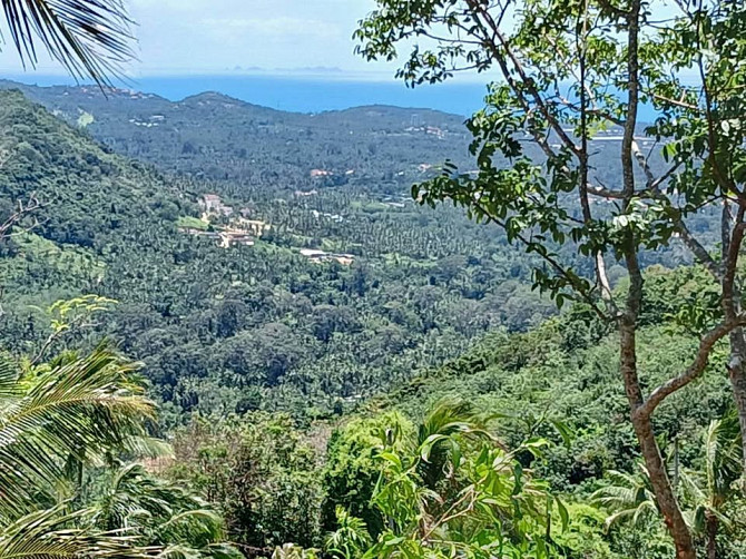1 Bedroom 1 Bathroom - House Samui - photo 15