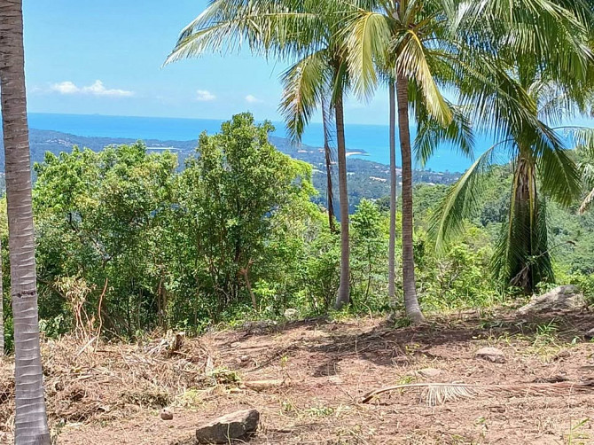 1 Bedroom 1 Bathroom - House Samui - photo 7