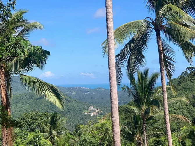 1 Bedroom 1 Bathroom - House Samui - photo 6