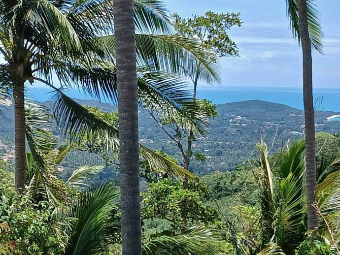 1 Bedroom 1 Bathroom - House Samui - photo 12