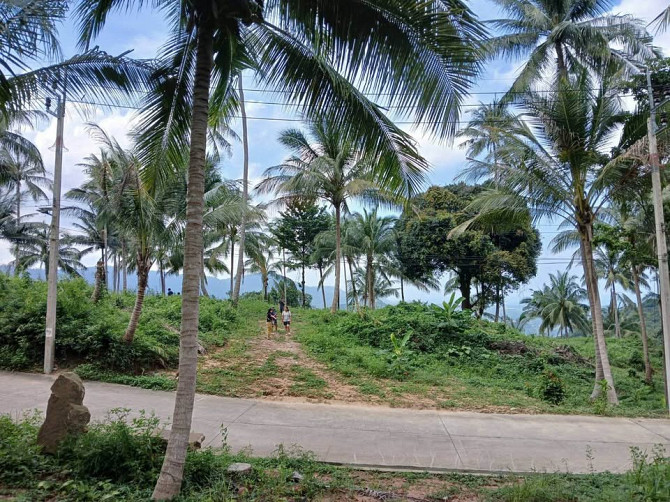 1 Bedroom 1 Bathroom - House Samui - photo 16
