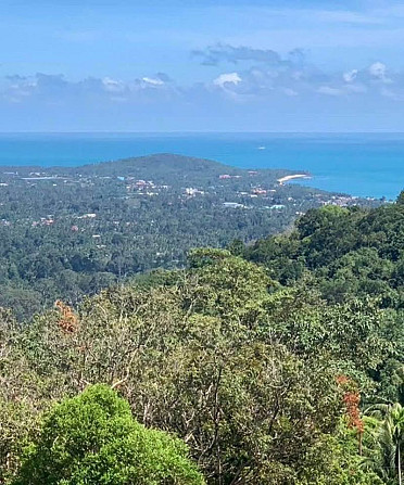 1 Bedroom 1 Bathroom - House Samui - photo 4