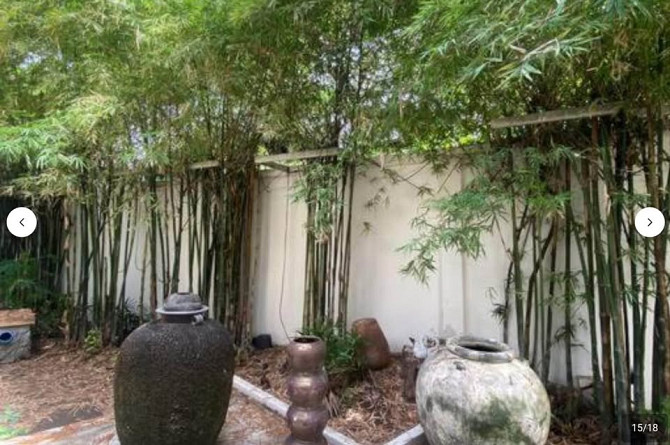 3 Beds 3 Baths House Samui - photo 7