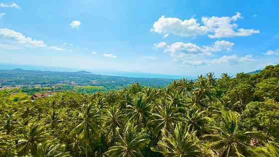 1 bedroom, 1 bathroom house Samui