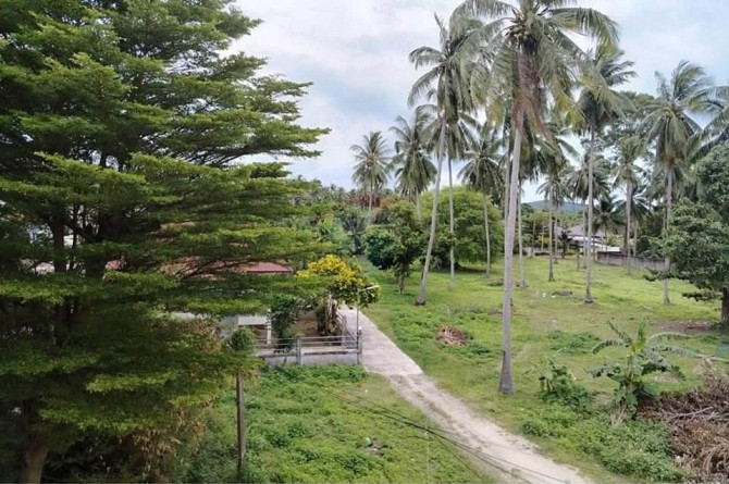 1 Bed 1 Bath - Apartment Samui - photo 14