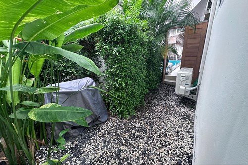 3 Beds 3 Baths House Samui - photo 16