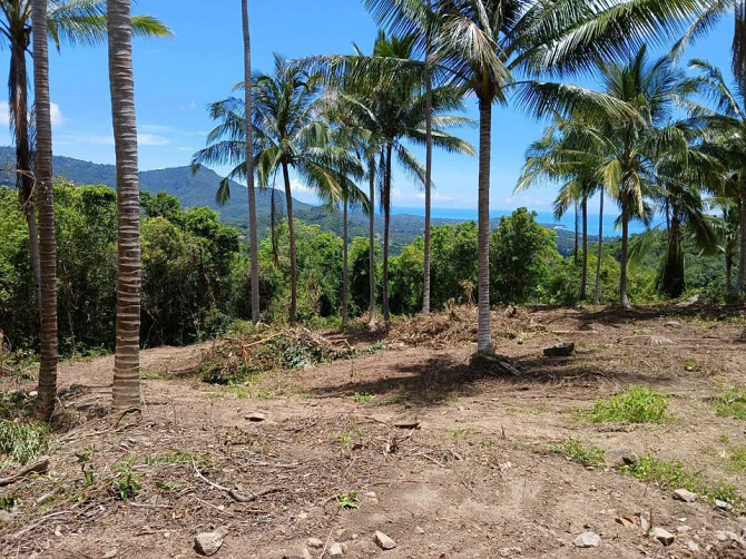 1 Bedroom 1 Bathroom - House Samui - photo 8