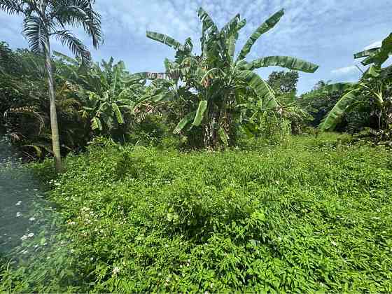 2 bedrooms 2 bathrooms - House Samui