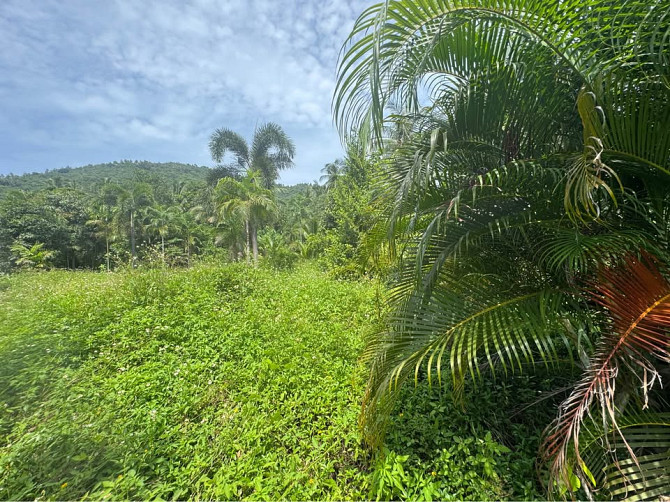 2 bedrooms 2 bathrooms - House Samui - photo 4