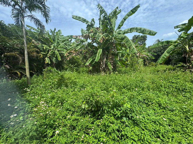 2 bedrooms 2 bathrooms - House Samui - photo 6