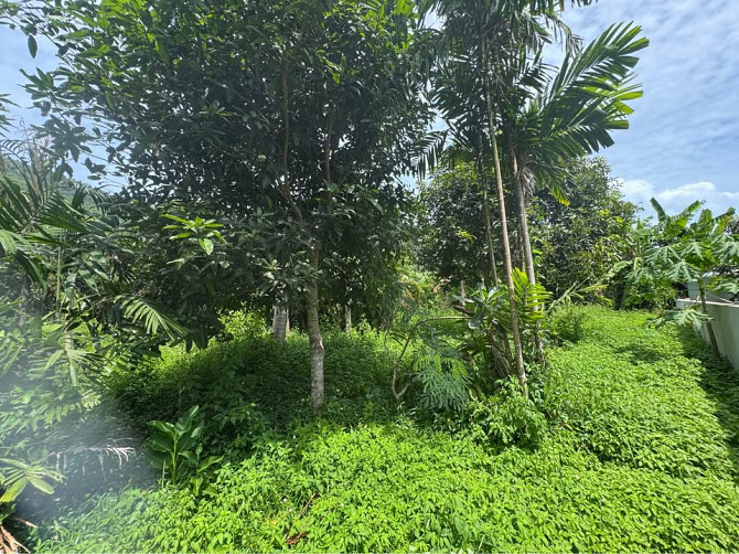 2 bedrooms 2 bathrooms - House Samui - photo 5